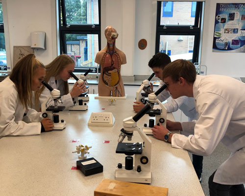 Pupils at Christleton High School